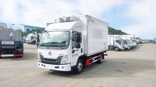 輕型貨車運(yùn)輸冷藏保鮮與危險(xiǎn)貨物 是否需要兩證及普通貨物道路運(yùn)輸解析